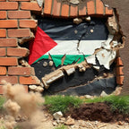 Solidarity Donation — Palestinian Family Mutual Aid